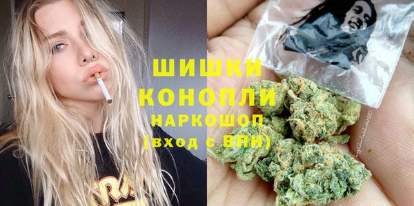 мдпв Володарск